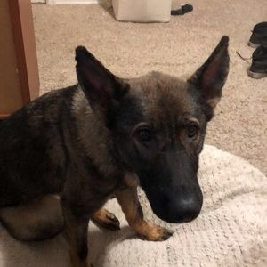 Meet your Posher, Drew